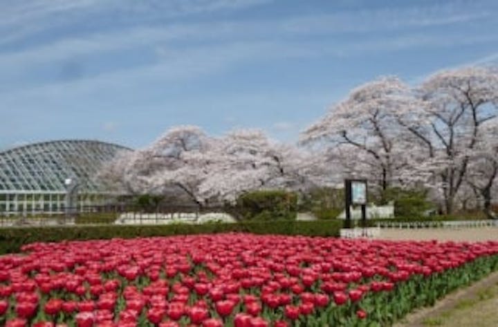京都府立植物園