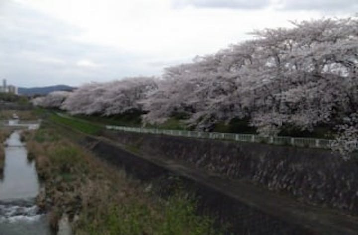 川勝總本家　清水参道店