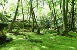 スポットの写真