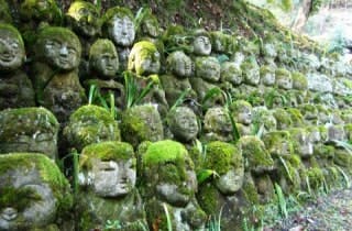 スポットの写真