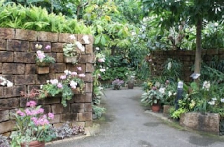 宇治市植物公園