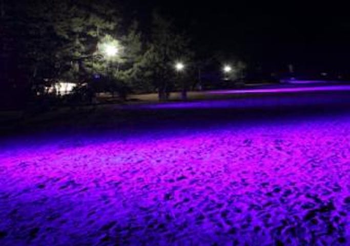 天橋立砂浜ライトアップ