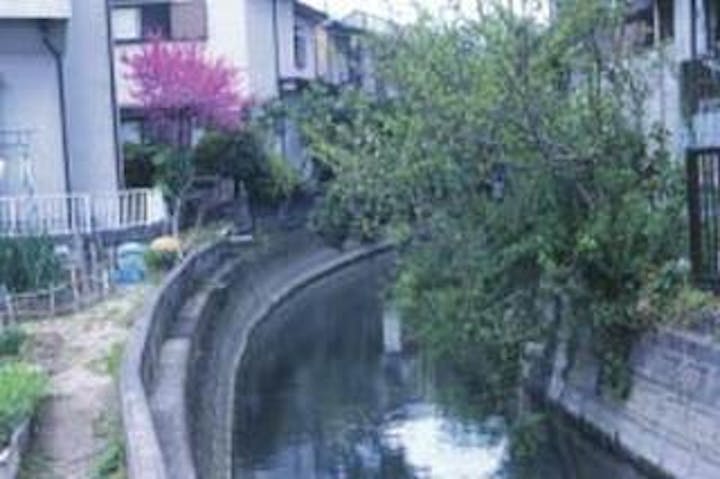 寺戸川（深田川）