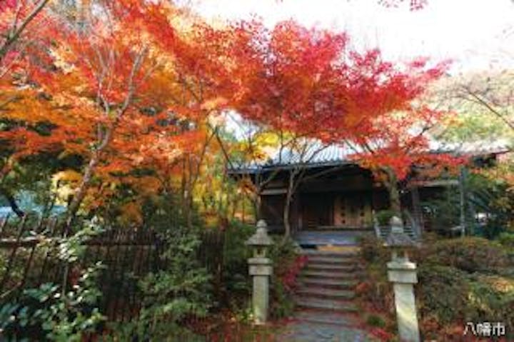 善法律寺（もみじ寺）