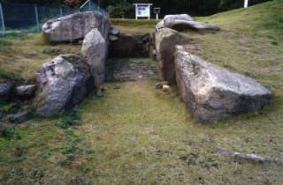 スポットの写真