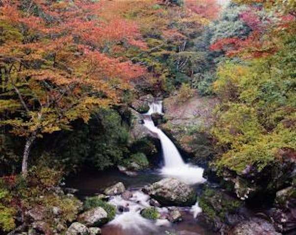 るり渓の紅葉