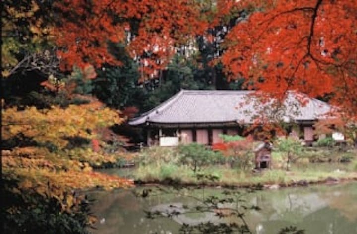 浄瑠璃寺の紅葉