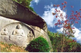 スポットの写真