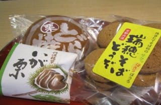 スポットの写真