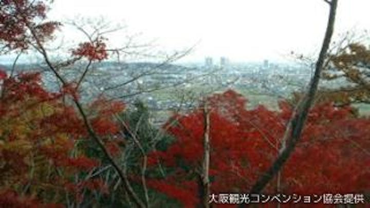 摂津峡公園 紅葉見頃 アソビュー 摂津峡公園 紅葉見頃 アソビュー