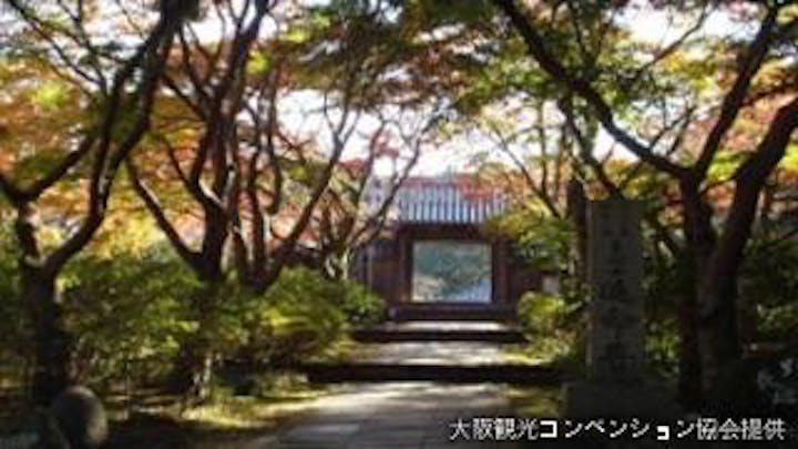 延命寺・観心寺・天野山金剛寺　もみじ