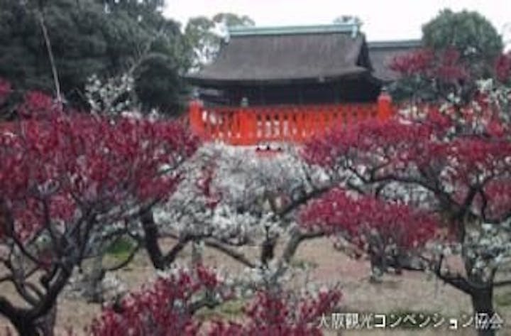 道明寺天満宮 例祭(梅花祭)