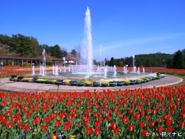 兵庫県立フラワーセンター