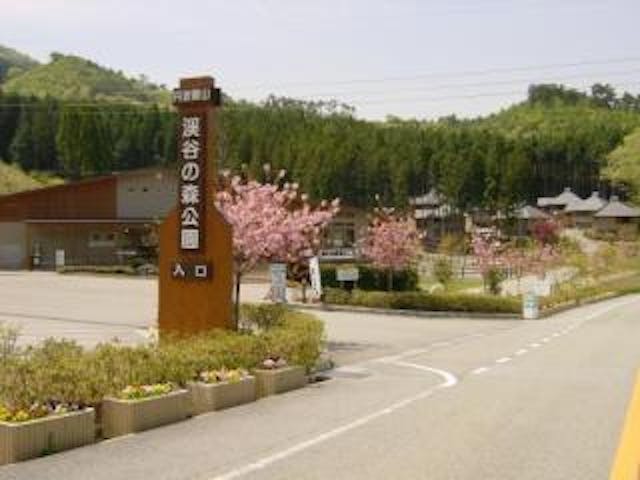 丹波篠山渓谷の森公園