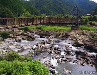 丹波市立薬草薬樹公園 アソビュー