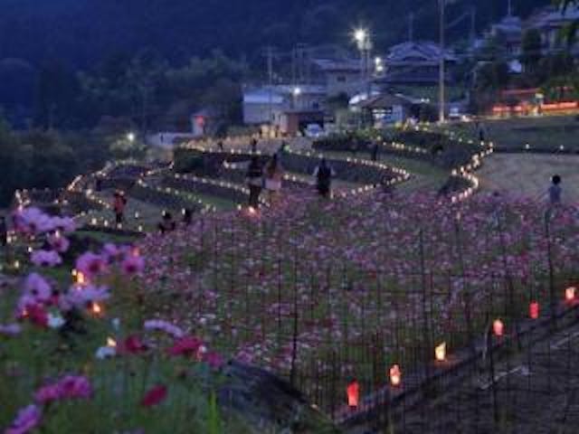 【2021年石垣まつり中止】やまだの里　石垣まつり/棚田のあかり