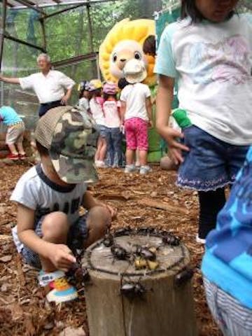 リフレッシュパーク市川 アソビュー