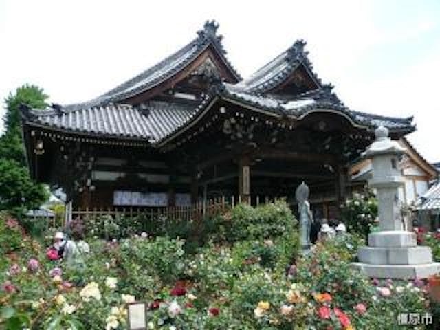 おふさ観音バラまつり