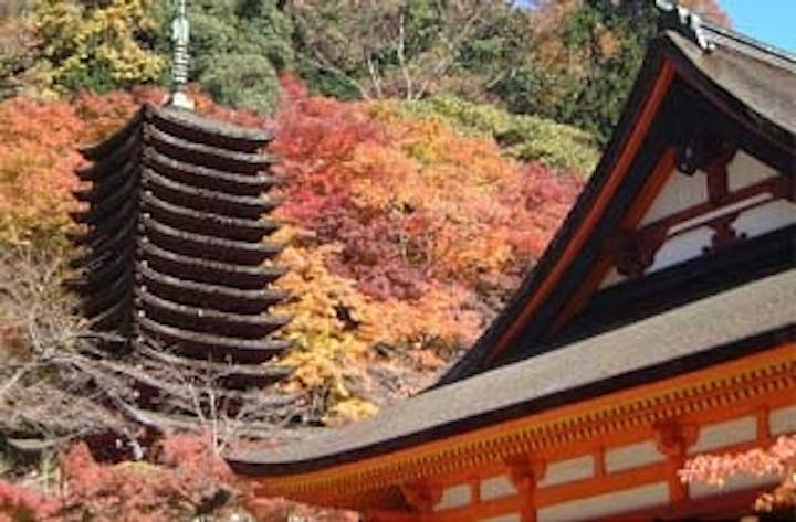談山神社の紅葉