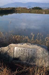 スポットの写真