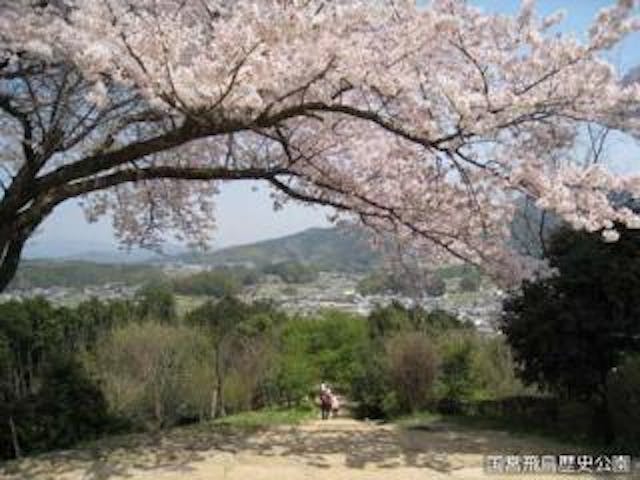 国営飛鳥歴史公園甘樫丘地区