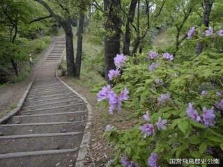 国営飛鳥歴史公園甘樫丘地区【アソビュー！】