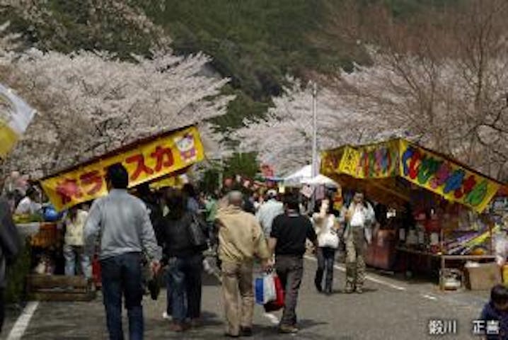 【2021年中止】さくら祭
