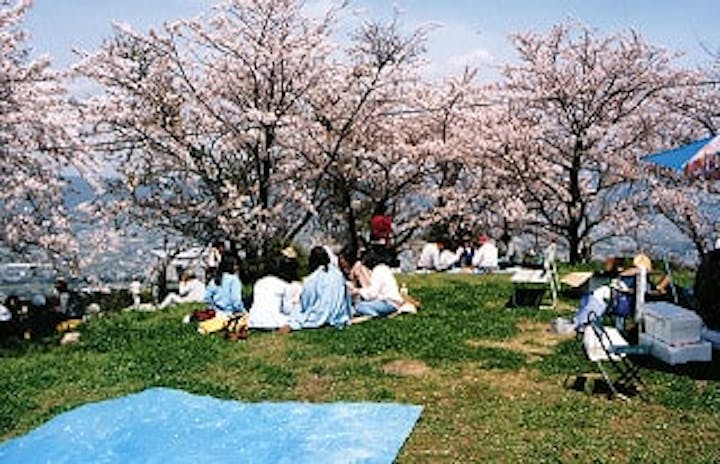 百合山花まつり（中止）