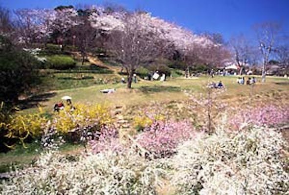 平草原公園 アソビュー