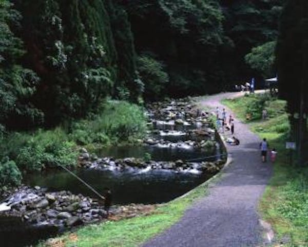 清流遊ＹＯＵ村