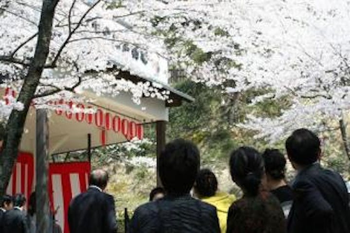 安来公園桜まつり