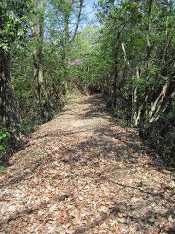比婆山ハイキング参拝コース