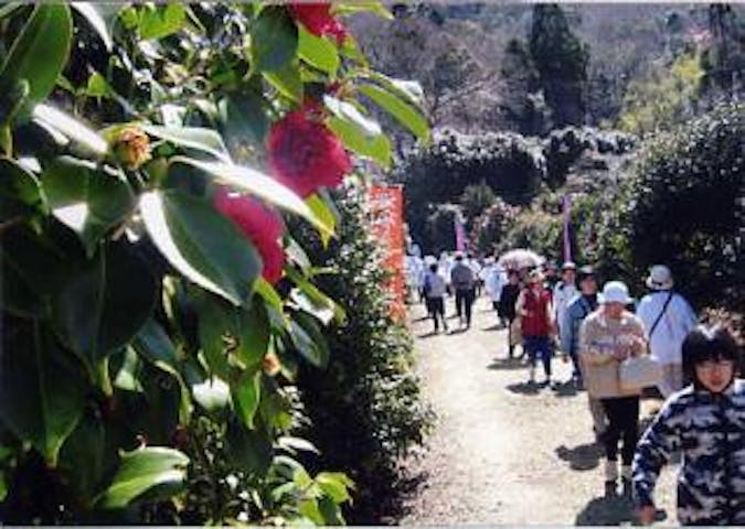 島の星山椿の里公園