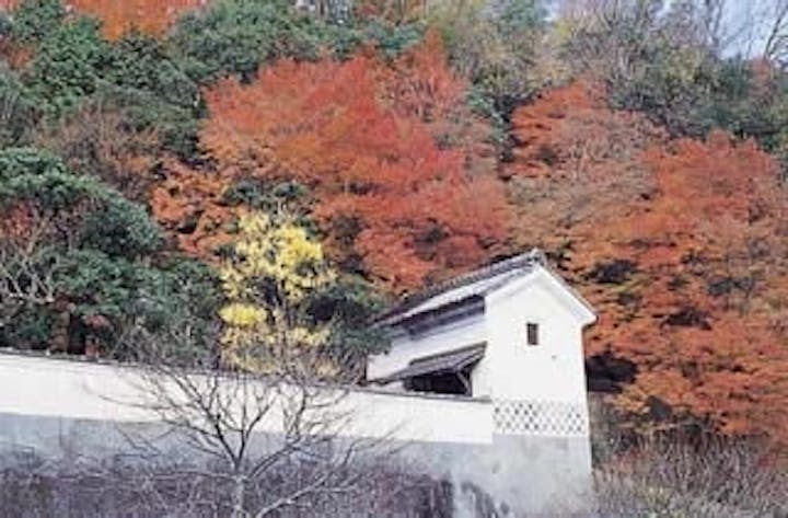 堀庭園／もみじ