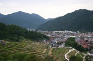 スポットの写真