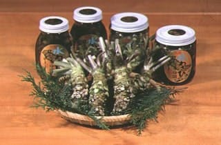 スポットの写真