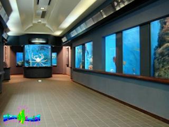 渋川マリン水族館（玉野海洋博物館）