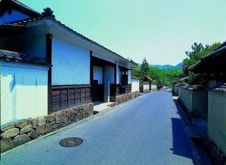 スポットの写真