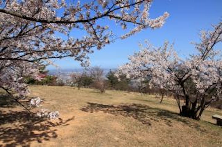 遥照山目鑑展望台