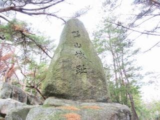 スポットの写真