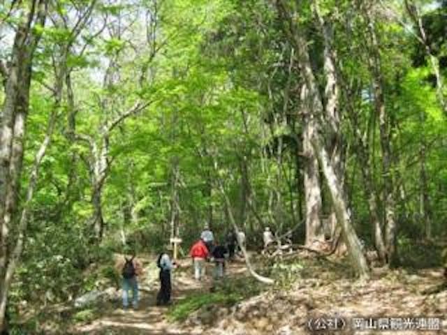 森林セラピーゆりかごの小径