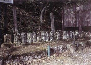 スポットの写真