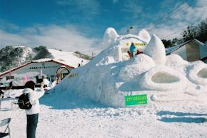 【2021年中止】恩原高原氷紋まつり