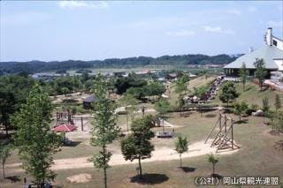 スポットの写真