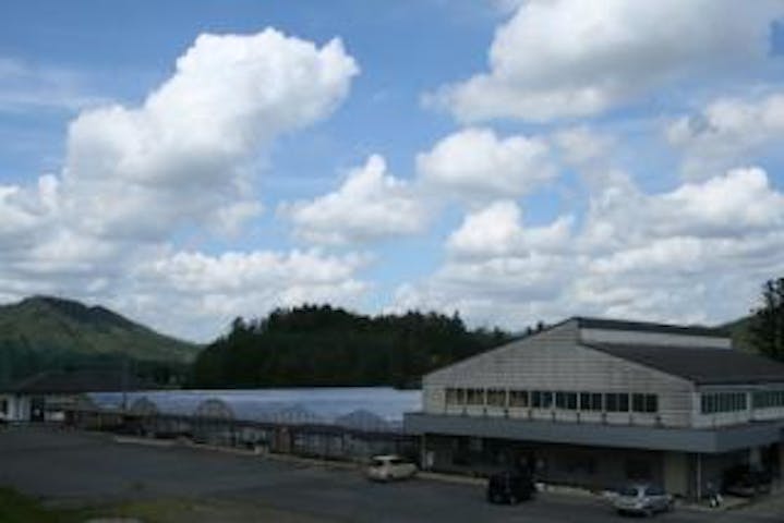 白龍湖観光農園