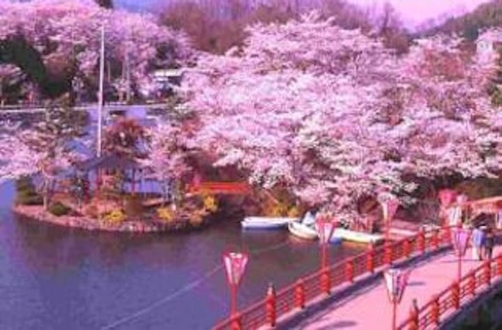 上野公園さくら祭