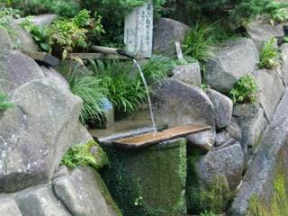 スポットの写真