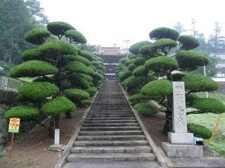 スポットの写真
