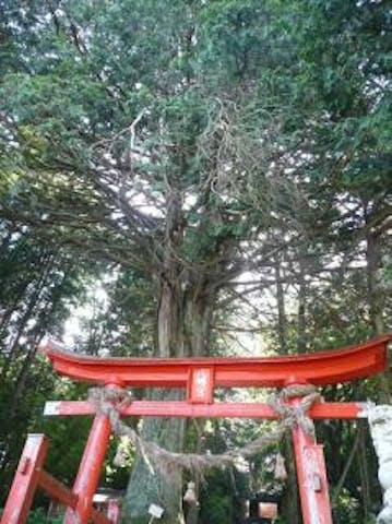 小堀山八幡神社