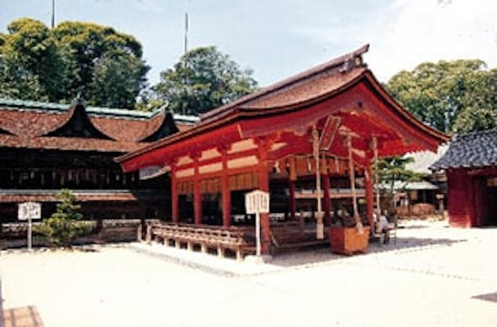 長門国一の宮住吉神社社叢